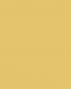 Обои желтые Ambient vol.4 AM4-102 изображение 0