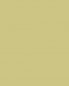 Обои зеленые Ambient vol.4 AM4-105-1 изображение 0