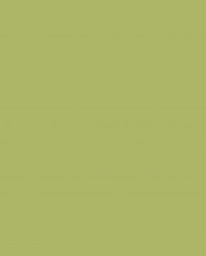 Обои зеленые Ambient vol.4 AM4-105-2 изображение 0