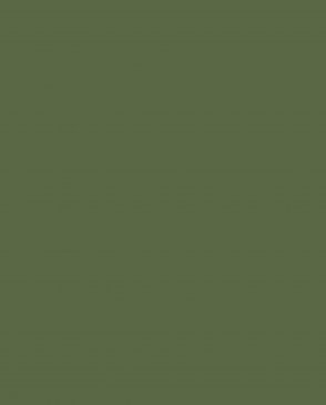 Обои с эффектом окрашеной стены Ambient vol.4 AM4-105-4 изображение 0