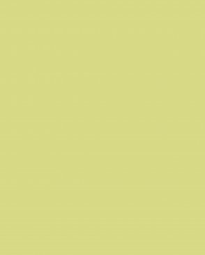 Обои желтые Ambient vol.4 AM4-105 изображение 0