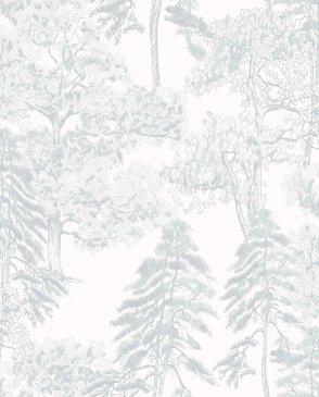 Обои в английском стиле Ambient vol.4 AM5-001-2 изображение 0