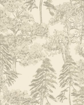 Обои в английском стиле Ambient vol.4 AM5-002-1 изображение 0