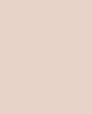 Обои Milassa Дамаск Дамаск AM9-002 изображение 0