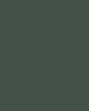 Обои Milassa Сканди Дзен AM9-005-3