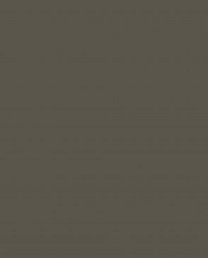 Обои Milassa Сканди Дзен AM9-009-2