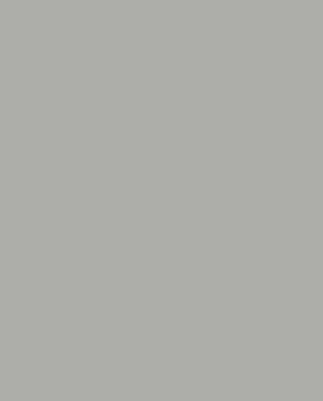 Обои Milassa Сканди Дзен AM9-009