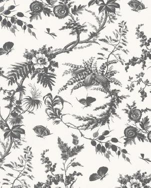 Обои черно-белые Bristol AT57838 изображение 0