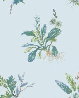 Обои Anna French Bristol Bristol AT57851 изображение 0