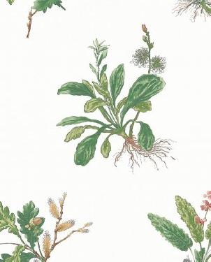 Обои Anna French Bristol Bristol AT57852 изображение 0