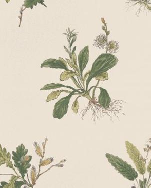 Обои Anna French Bristol Bristol AT57853 изображение 0