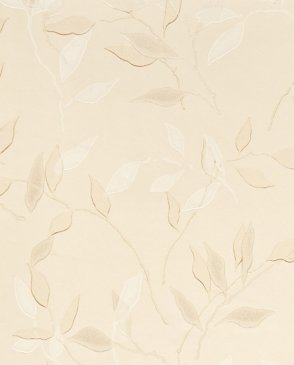 Обои Sanderson Classic Collection 2 Classic Collection 2 DCLAGR-104 изображение 0