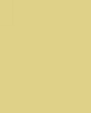 Обои AURA желтые Plain Resource 1 B1181509 изображение 0