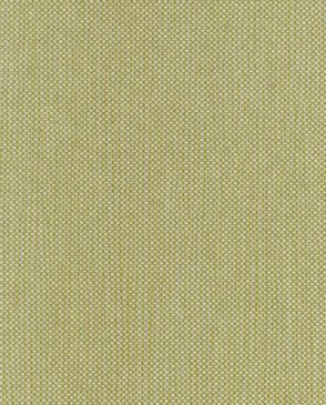 Обои Hookedonwalls Delicate Chic 73205