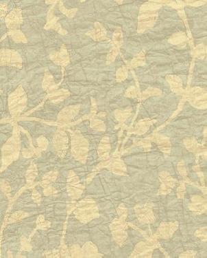 Обои Chesapeake Natural Living NL58181L