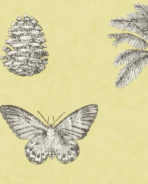 Обои Sanderson Voyage of Discovery Wallpapers Voyage of Discovery Wallpapers DVOY213382 изображение 0