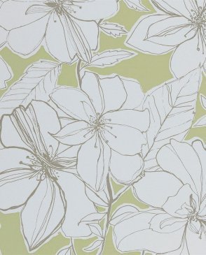 Обои Harlequin Boutique Boutique 60128 изображение 0