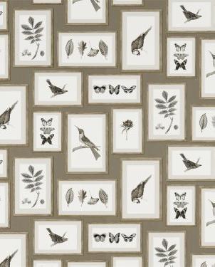 Обои Sanderson Voyage of Discovery Wallpapers Voyage of Discovery Wallpapers DVOY213397 изображение 0