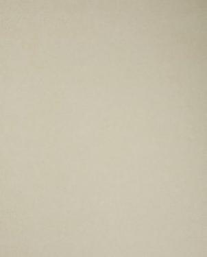 Обои Sanderson Parchment Flowers Parchment Flowers DPFWPP102 изображение 0