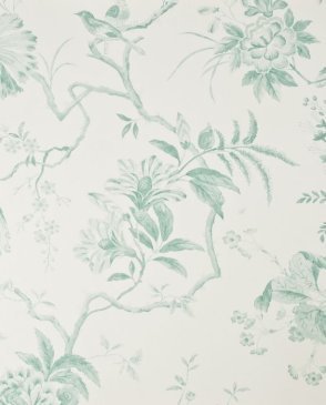 Обои Sanderson Classic Collection 2 Classic Collection 2 DCLAPI-102 изображение 0