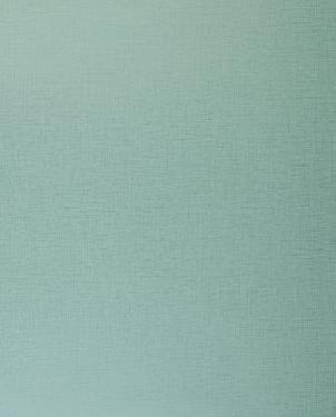 Обои Clarke & Clarke Showstoppers W0006-17