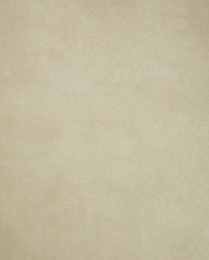 Обои Sanderson Parchment Flowers Parchment Flowers DPFWPP105 изображение 0