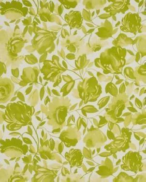 Обои Clarke & Clarke Kim Parker W0066-02