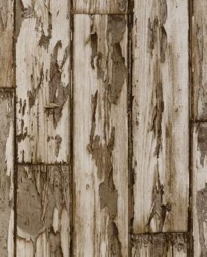 Обои Clarke & Clarke Wild Garden W0050-01