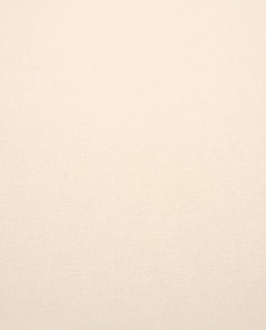 Обои Clarke & Clarke Showstoppers W0006-08