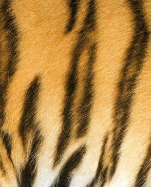 Обои Decoprint NV Mood MD904008