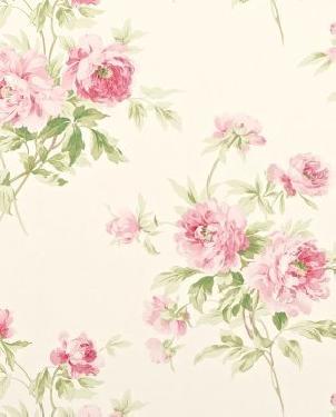 Обои Sanderson Caverley DCAVAD101