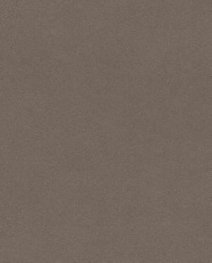 Обои Rasch Crispy Paper 527049