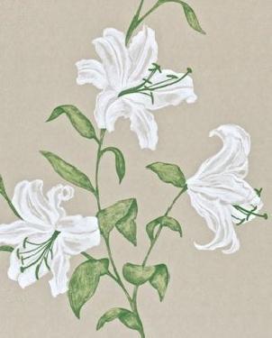 Обои Sanderson Painter's Garden Painter's Garden DAPGSE102 изображение 0