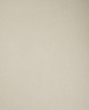 Обои Sanderson Parchment Flowers Parchment Flowers DPFWPP101 изображение 0