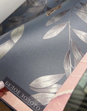 Фрески Фактуры фресок Белое Золото изображение 0