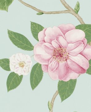 Обои Sanderson Voyage of Discovery Wallpapers Voyage of Discovery Wallpapers DVOY213378 изображение 0