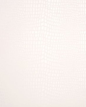 Обои Clarke & Clarke Couture W0004-04