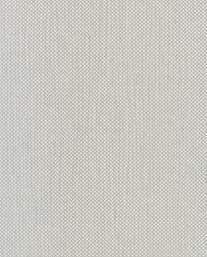 Обои Hookedonwalls Delicate Chic 73213