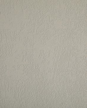 Обои Loymina Beresta (под покраску) BRS1-012 изображение 0