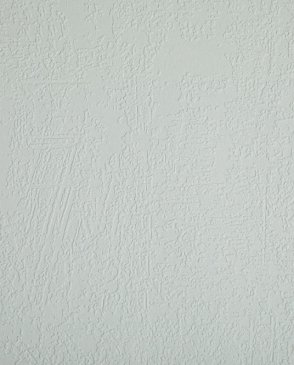 Обои Loymina Beresta (под покраску) BRS1-014 изображение 0