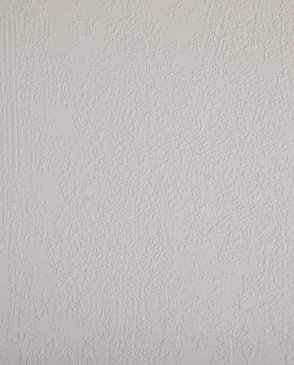 Обои Loymina Beresta (под покраску) BRS1-018 изображение 0