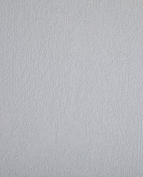 Обои Loymina Beresta (под покраску) BRS1-019 изображение 0