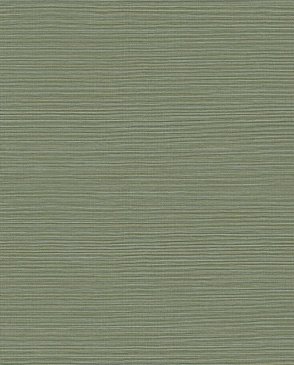 Американские Обои зеленые Texture Gallery BV30404 изображение 0