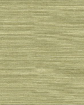 Американские Обои зеленые Texture Gallery BV30424 изображение 0