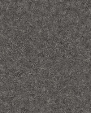 Обои однотонные черные Texture Gallery BV30600 изображение 0