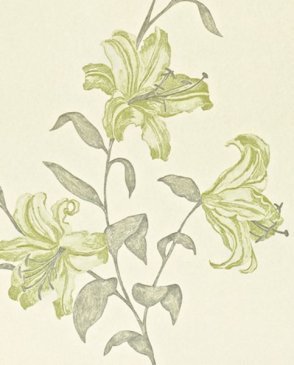 Обои Sanderson Painter's Garden Painter's Garden DAPGSE105 изображение 0