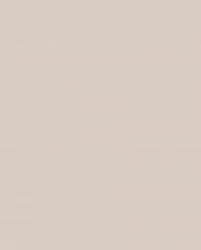 Обои Made in Russia C1-02 изображение 0