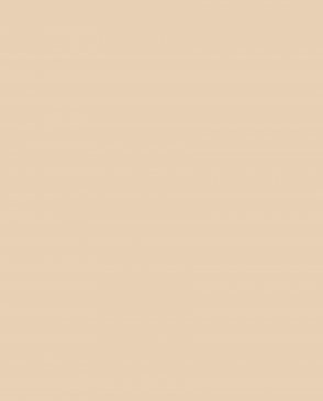 Обои Made in Russia C2-02 изображение 0