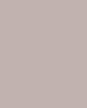 Обои Made in Russia C3-01 изображение 0