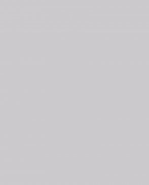 Обои Hygge Made in Russia C3-06